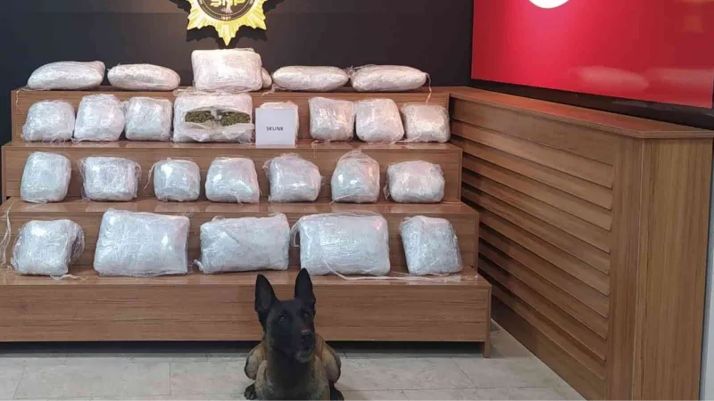 Şanlıurfa’da 21 kilo 550 gram skunk ele geçirildi