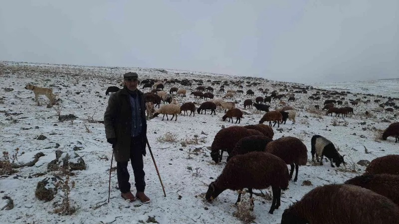 Kars’ta göçerlerin zorlu yolculuğu sürüyor