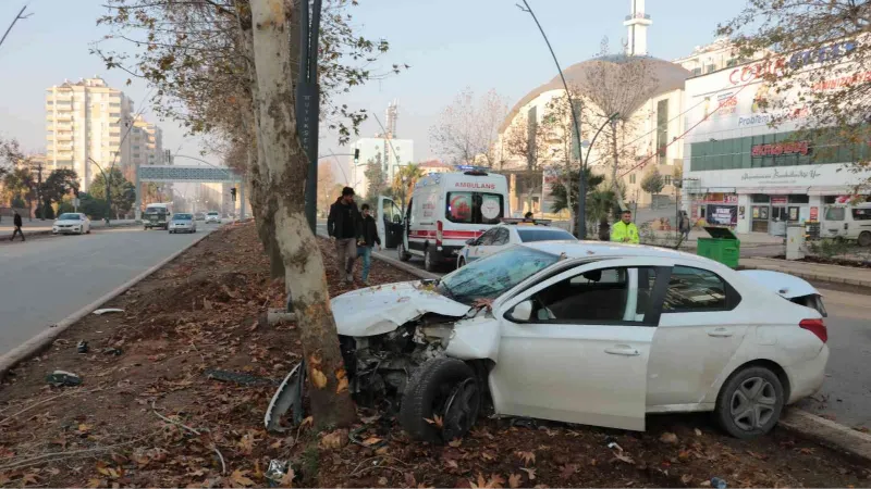 Yayalara çarpmamak isterken ağaca çarptı: 1 yaralı