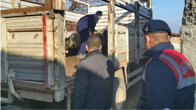 Bilecik’te sahte banka dekontla hayvan hırsızlığı yapan şahıs yakalandı