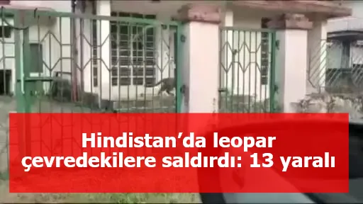 Hindistan’da leopar çevredekilere saldırdı: 13 yaralı