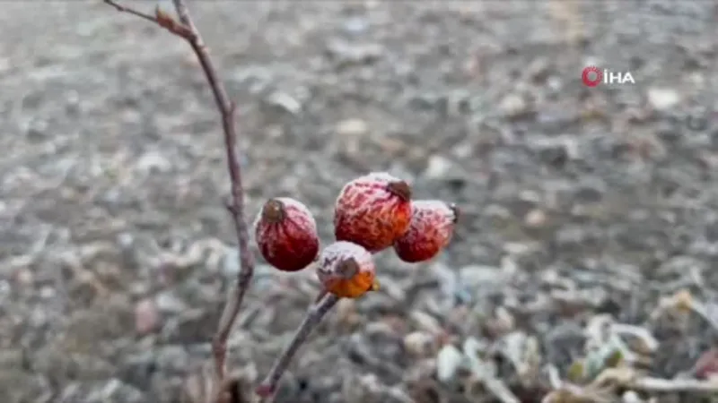 Ağrı’da hava sıcaklığı eksi 6’ya düştü