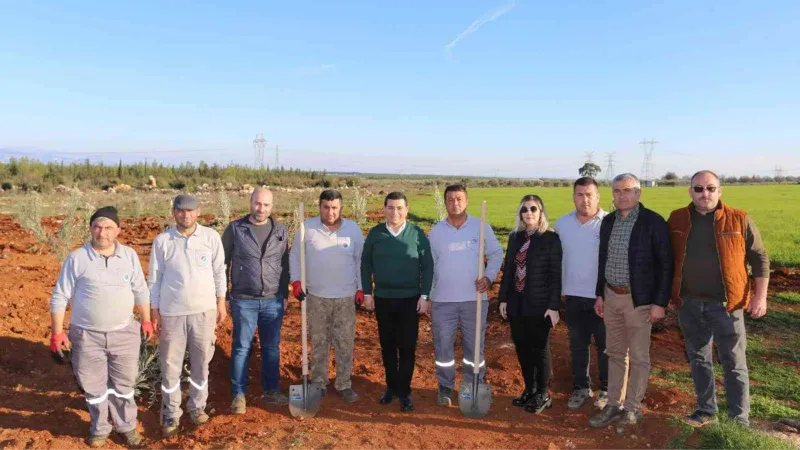 Zeytin Çiftliğinden elde edilecek gelirin tamamı 35 bin öğrenciye burs olacak