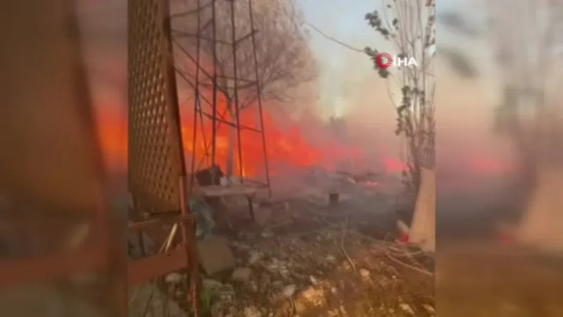 Antalya’da evleri tehdit eden sazlık yangını