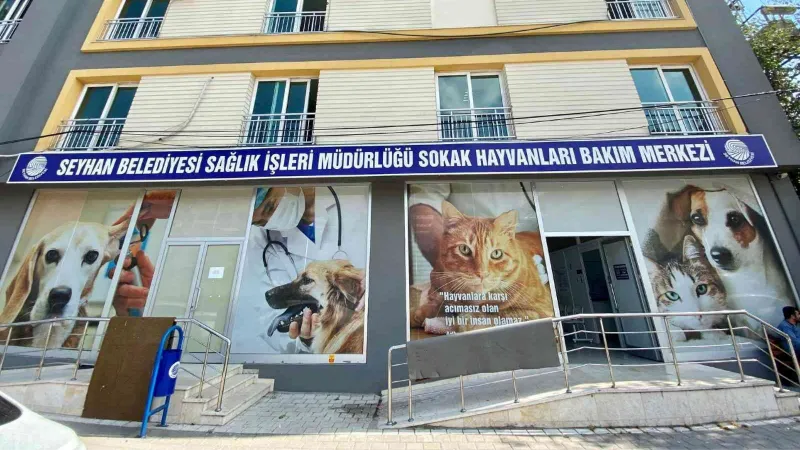 Seyhan’da bin 236 sokak kedisini ücretsiz olarak kısırlaştırdı