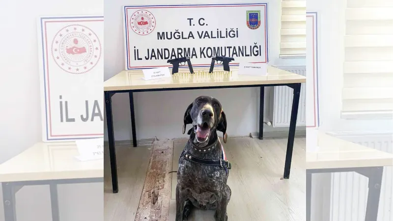 Uygulamada kurusıkıdan bozma 2 tabanca ele geçirildi