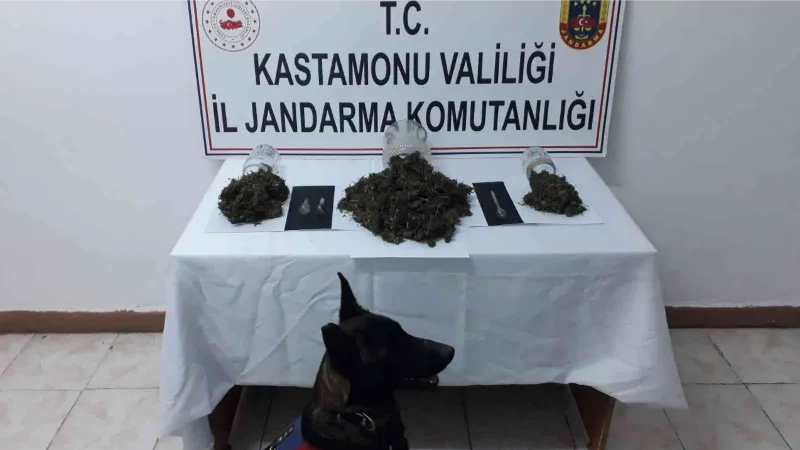 Turşu bidonu ve kavanozlara esrar zulalayan şahıs jandarmadan kaçamadı