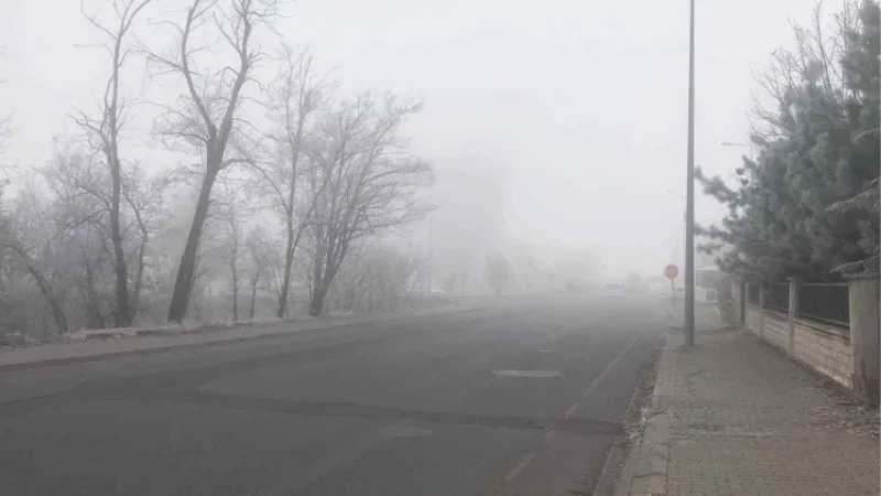 Bingöl’de yoğun sis etkili oldu