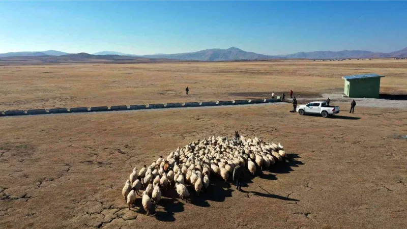 Van Büyükşehir Belediyesinden kırsal kalkınma atağı