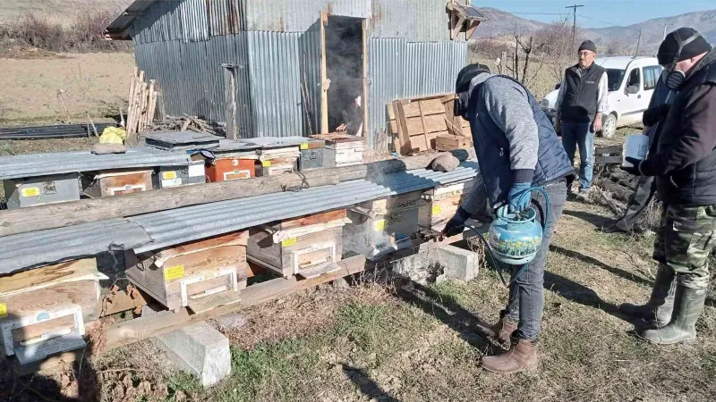 Seben’de arı kenesine karşı ilaçlama yapıldı