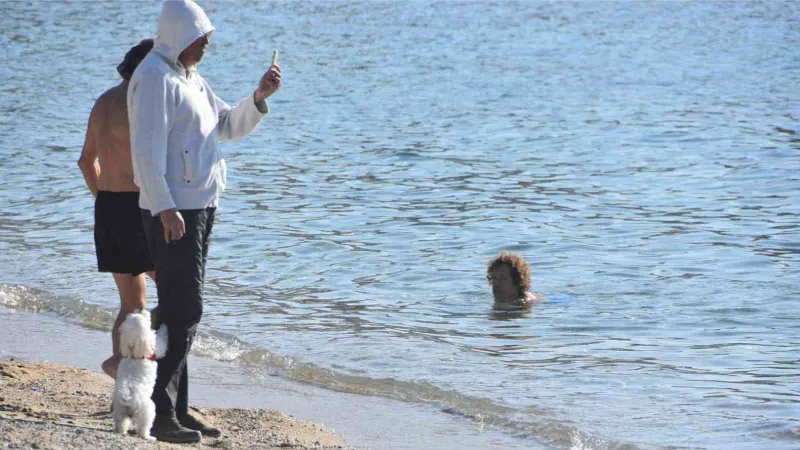 Bodrum denize girip güneşlendiler