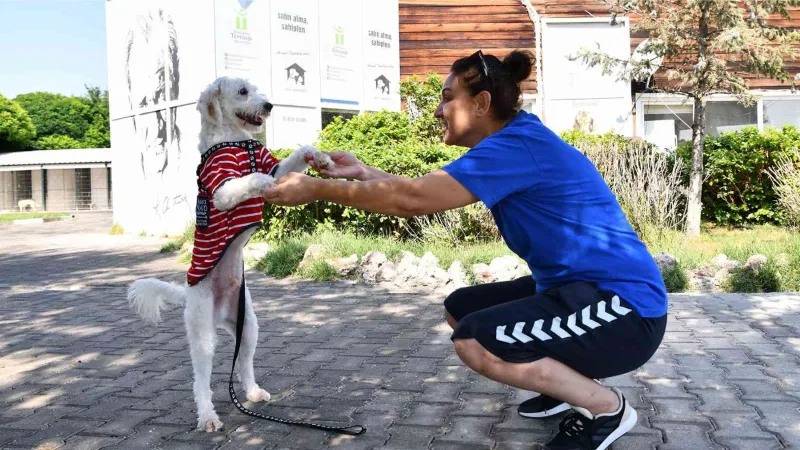 503 canın daha sıcak bir yuvası oldu