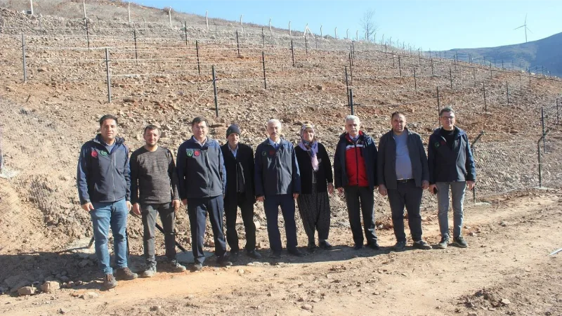 Bahçe’de telli terbiye sistemli üzüm bahçesi kuruldu