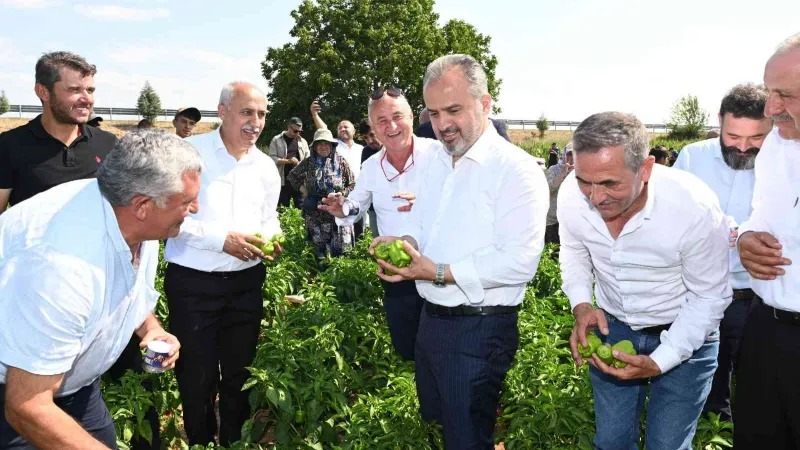 Bursa Büyükşehir’in çiftçiye desteği sürüyor