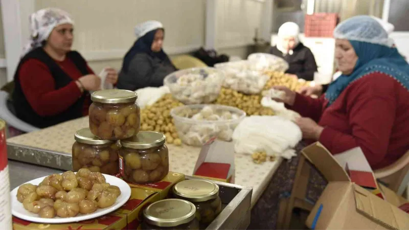 Nazilli’nin kestane şekeri, 10 bin kilometre ötede damakları lezzetlendiriyor