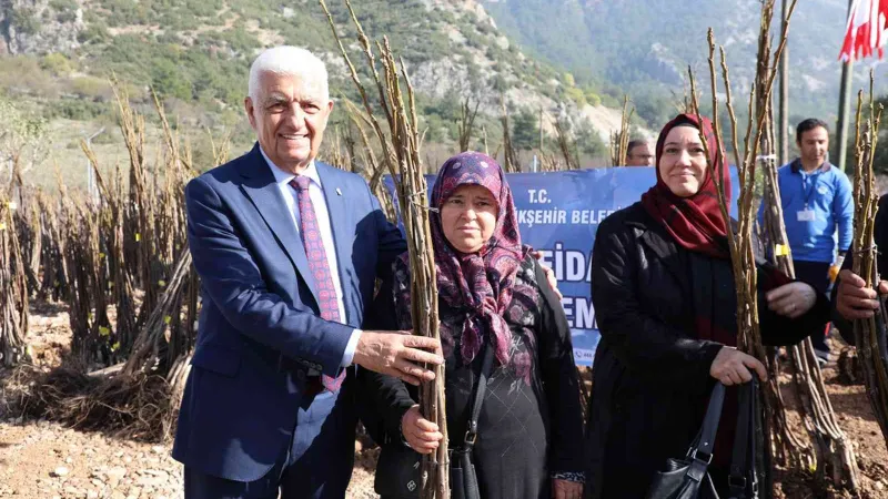 Muğla Büyükşehir, meyve fidanı desteğine başlıyor