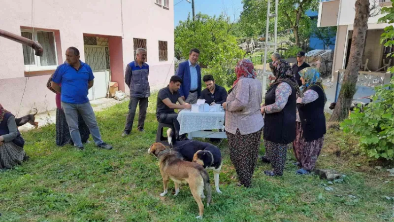 Zonguldak’ta 12 bin 655 evcil hayvana çip takıldı