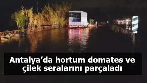 Antalya’da hortum domates ve çilek seralarını parçaladı