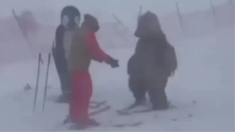 Ayı ve penguen ile Uludağ’da kayak yaptı, ortaya renkli görüntüler çıktı