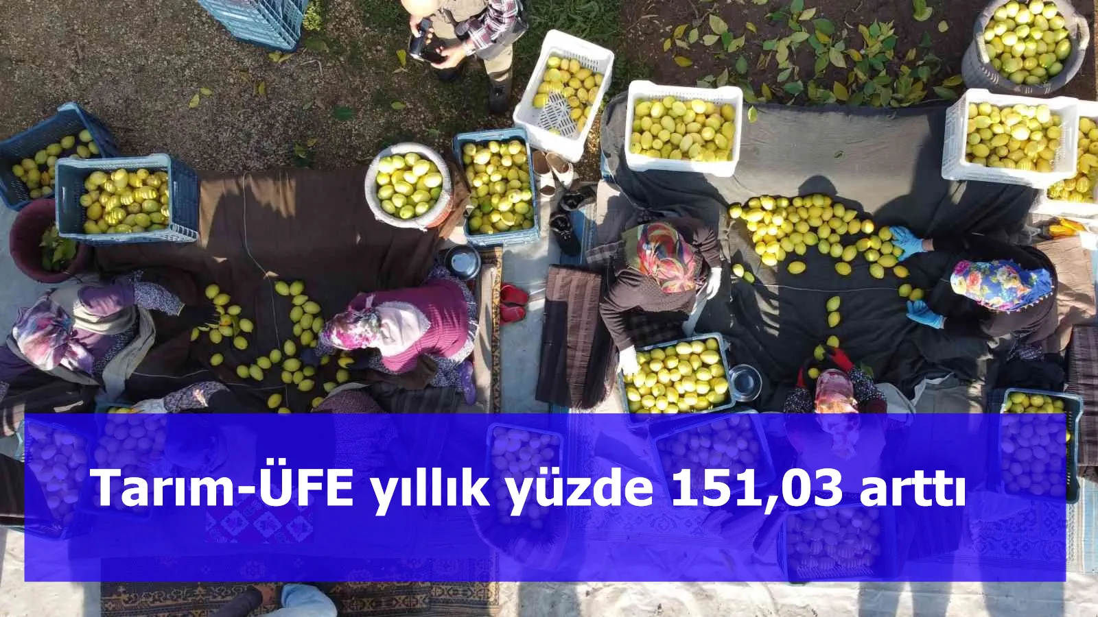 Tarım-ÜFE yıllık yüzde 151,03 arttı