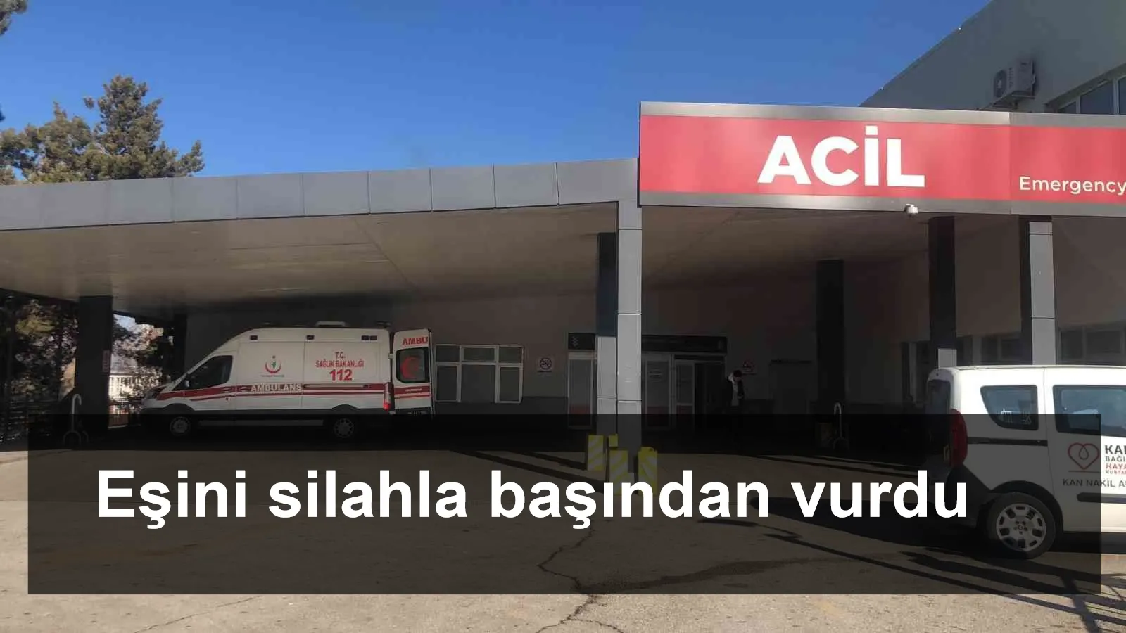 Eşini silahla başından vurdu