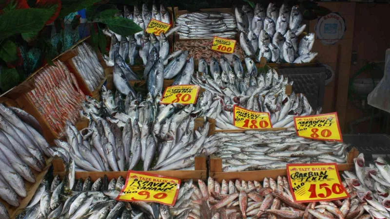 Hava sıcaklıları balık fiyatlarını etkiledi