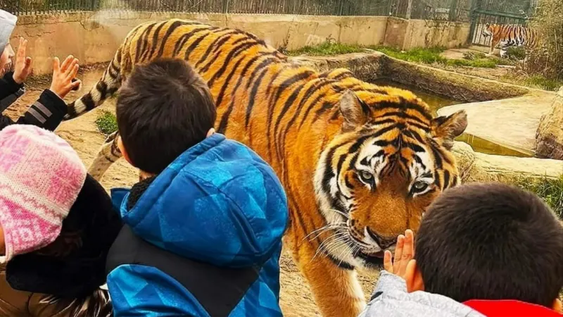 Sevgi evlerinde kalan çocuklar ara tatilde doyasıya eğlendi