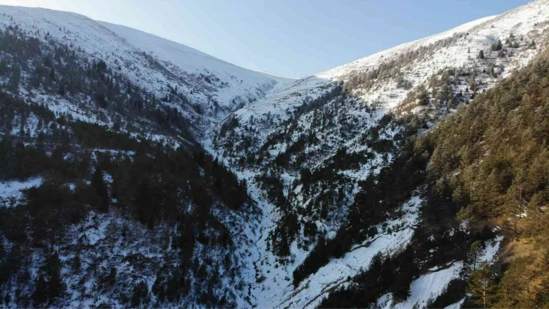 Zigana’da yaşanan çığ felaketinin 14. yılında Zigana Dağı karsız kaldı