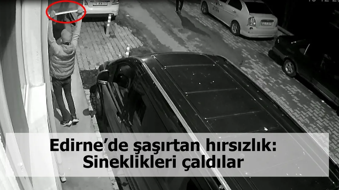 Edirne’de şaşırtan hırsızlık: Sineklikleri çaldılar