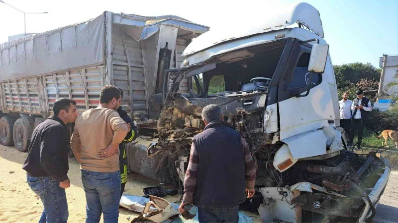 Köpeğe çarpmamak için ani firen yapınca tırlar çarpıştı