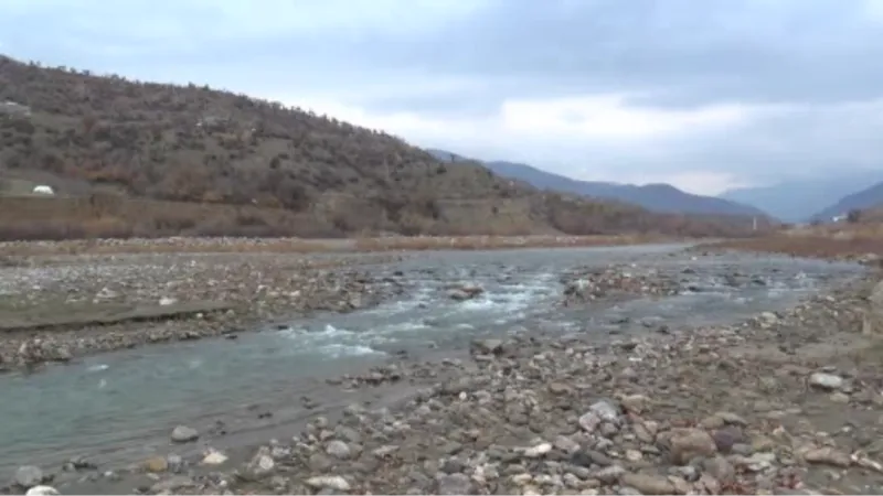 Küresel ısınma ile bazı bitki ve hayvan türleri yok olma tehlikesinde