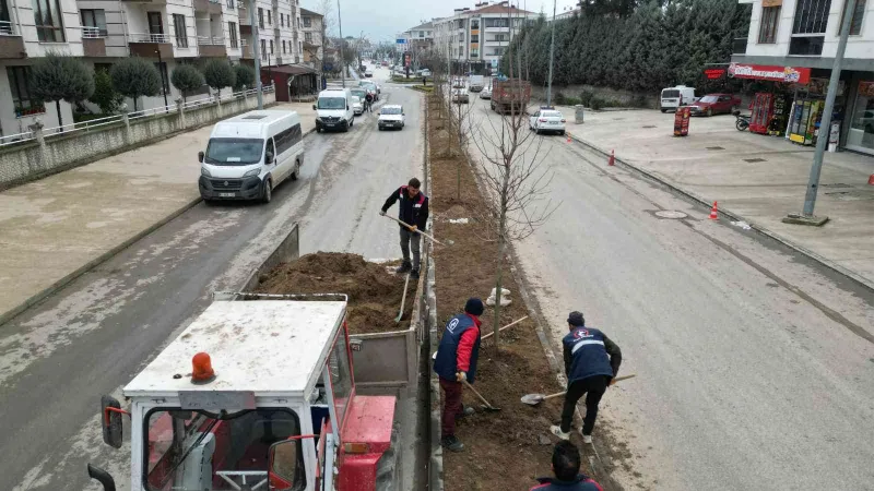 Milyonlarca çiçek diktiler