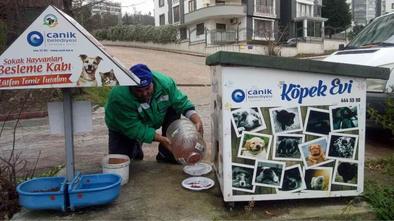 Canik Belediyesi can dostları yalnız bırakmıyor