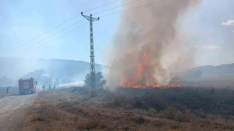 Anız yangını paniğe sebep oldu