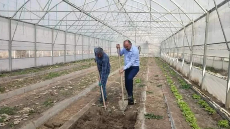 Çukurca Belediyesinin seralarında yeni ürünlerin ekimine başlandı