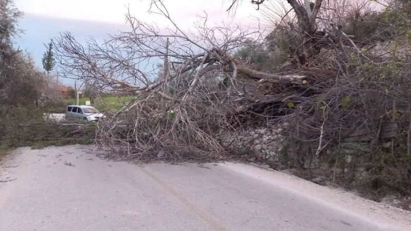 Seydikemer’de fırtına etkili oldu