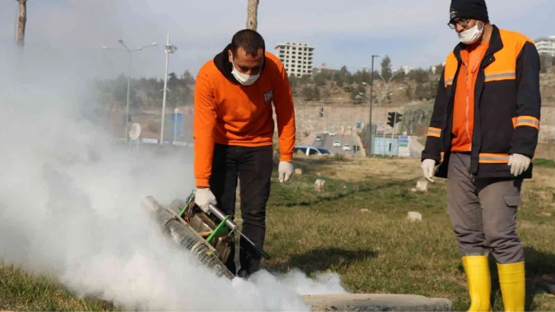 Şanlıurfa’da vektör ile mücadele sürüyor