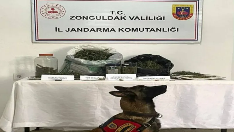 Ereğli’de uyuşturucu operasyonu:1 gözaltı