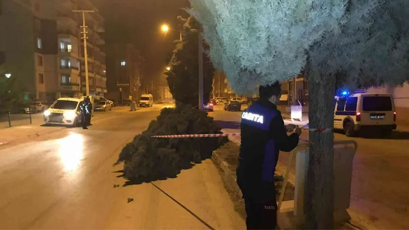 Konya’da şiddetli rüzgar ağaçları devirdi