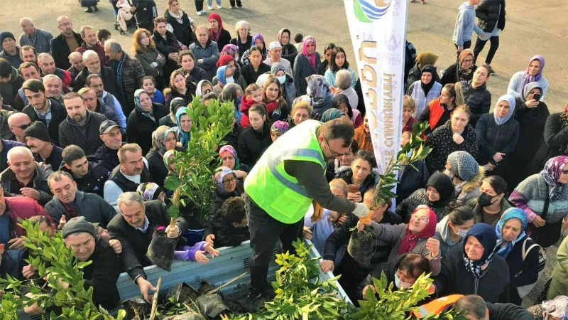 Altınordu Belediyesi 341 bin fidanı toprakla buluşturdu