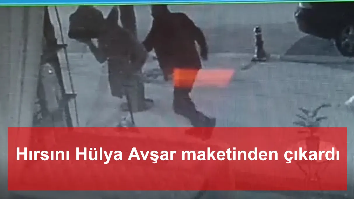 Hırsını Hülya Avşar maketinden çıkardı