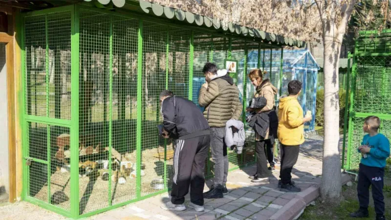 Yarıyıl tatilinde Tarsus Doğa Parkı’na yoğun ilgi