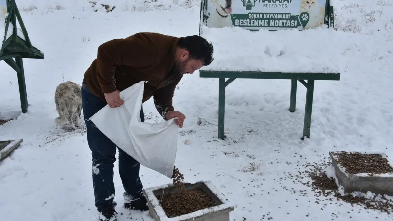 Karatay Belediyesi sokak hayvanlarını unutmadı