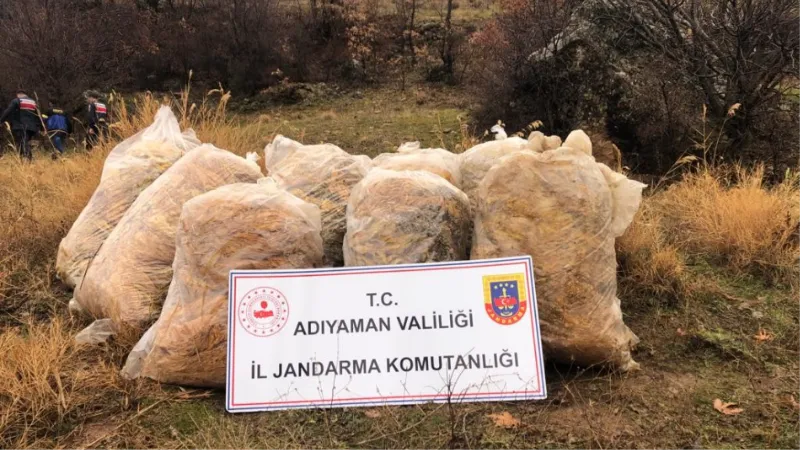 Jandarma çalınan tütünleri dere yatağında buldu