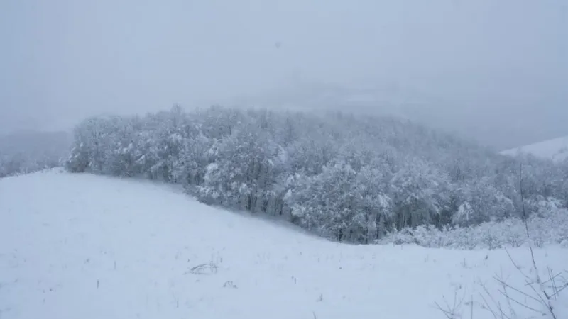 Samsun’un yüksek kesimlerinde kar kalınlığı 44 cm