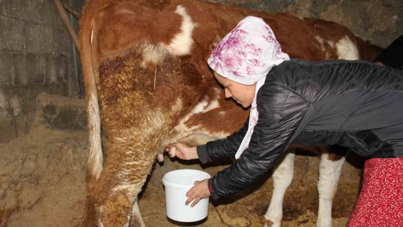 Fransız turist çift köy hayatını yaşadı