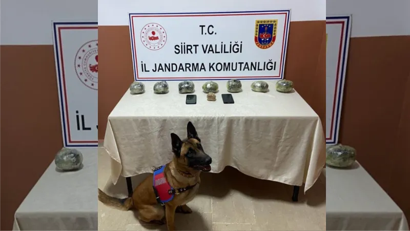 Jandarmadan kaçan uyuşturucu tacirleri kıskıvrak yakalandı