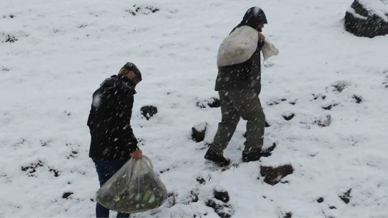 Kırsalda kar esareti devam ederken yaban hayvanları unutulmadı
