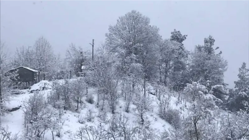Adana’nın kuzey ilçeleri güne karla uyandı