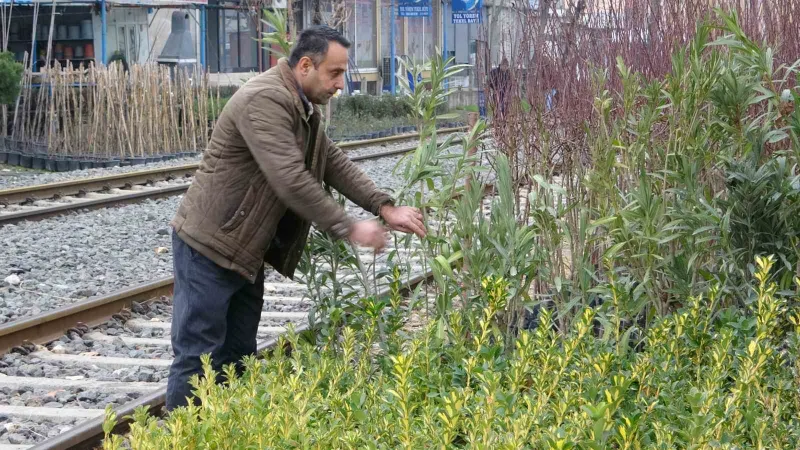 Ziraat Mühendisi Tekeş: "Fidan ve meyve ağaçları dikimi için en uygun dönemdeyiz"